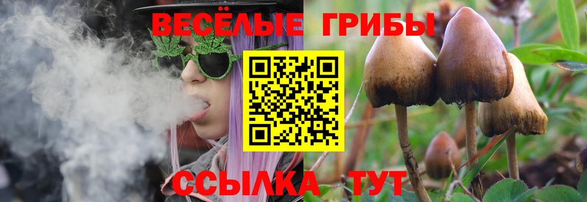 Галлюциногенные грибы Psilocybine cubensis Набережные Челны